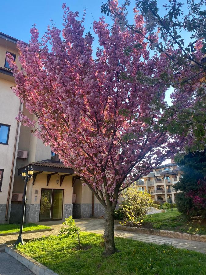 59 Kaliakria Seaview Luxury Apartment Topola Exterior photo
